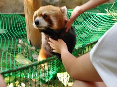 -北京野生动物园