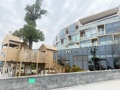 -东方美谷JW万豪酒店·The lounge大堂吧