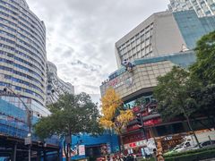 -龙抄手(春熙路总店)