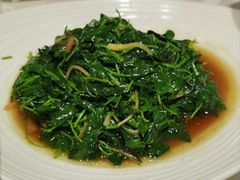 豆苗-品悦酒店(三林古镇店)