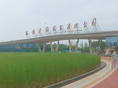 -西安浐灞国家湿地公园