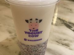 -一只酸奶牛(八一路店)