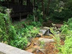 -黄公望隐居地