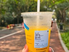 -南宁南湖公园