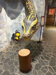 -Zoolung Zoolung动物主题公园(海信广场店)