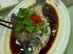 -南庄酒家·海鲜粤菜·25年老字号(环城南路店)