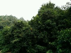 -鑫港隆休闲会所(海燕·玉兰花园店)