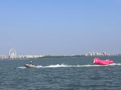 -金鸡湖景区