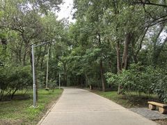 -廊坊市自然公园