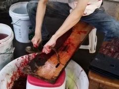 -铜元老码头鳝鱼火锅