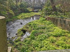 -杭州植物园