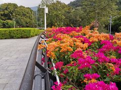 -云溪植物园