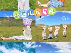 -祁连山草原