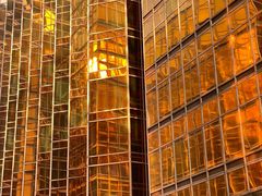 -香港皇家太平洋酒店