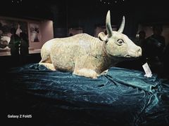 -宁夏博物馆