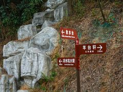 -阳台山森林公园