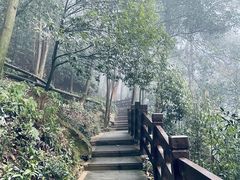 -缙云山景区