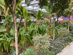 -南宫五洲植物乐园