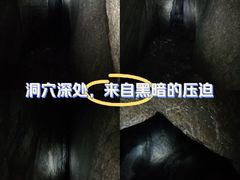 -六里坪国家森林公园