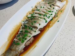 -船歌·鱼水饺青岛菜(金狮广场店)