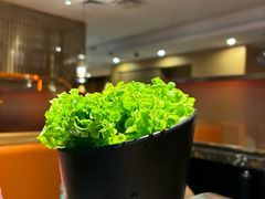 -九田家黑牛烤肉料理(太阳城店)
