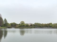 -苏州太湖湖滨国家湿地公园