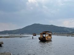 -腾冲北海湿地