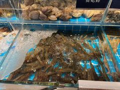 -渔纬港海鲜自助餐厅(湖里万达店)