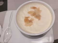 双皮奶-悦满楼·西关名点·湛江名菜(航空综合大厦店)