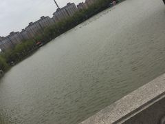 -南汇桃花村