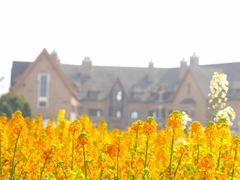 -中国天府农业博览园