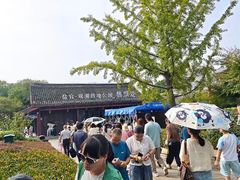 -观潮胜地公园