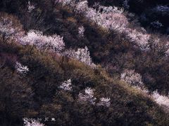 -妙峰山风景名胜区