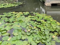 -西湖游船