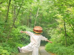 -五营红松林海景区