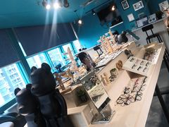 -Trend1881视光·蔡司视觉(领展广场店)