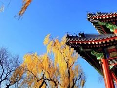 -颐和园