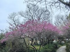 -春暖花开(西溪店)