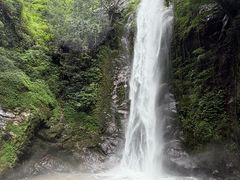 -莫里热带雨林景区