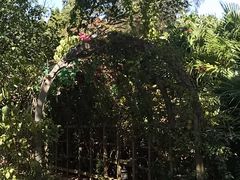 -南沙蒲洲花园