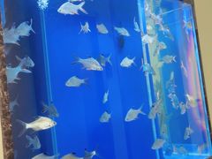 -原鄉本味 楚菜 丹江口鱼(北苑店)