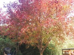 -香山公园-东宫门售票处