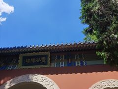 -灵谷景区
