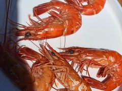 -蓝湾碧波·老字号·疍家非遗海上餐厅