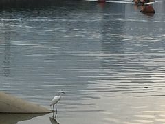 -光明港公园