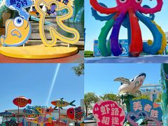 -海合安青岛极地海洋公园