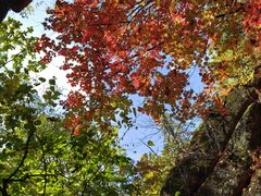 -五女峰国家森林公园