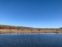 -塞罕坝国家级自然保护区