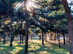 -沈阳市东陵公园