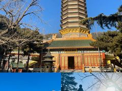 -八大处公园